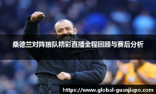 桑德兰对阵狼队精彩直播全程回顾与赛后分析